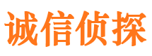 大埔诚信私家侦探公司